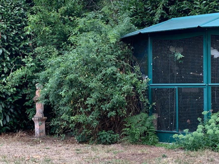 Maisonnette En Clairiere De Foret Gambais Extérieur photo