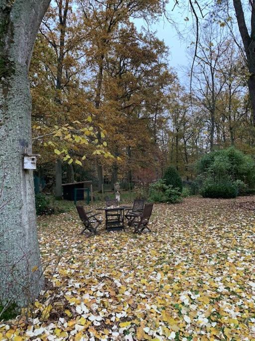 Maisonnette En Clairiere De Foret Gambais Extérieur photo