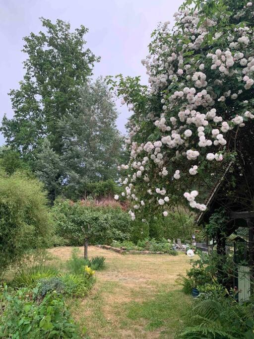 Maisonnette En Clairiere De Foret Gambais Extérieur photo