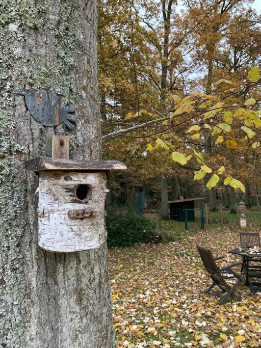 Maisonnette En Clairiere De Foret Gambais Extérieur photo