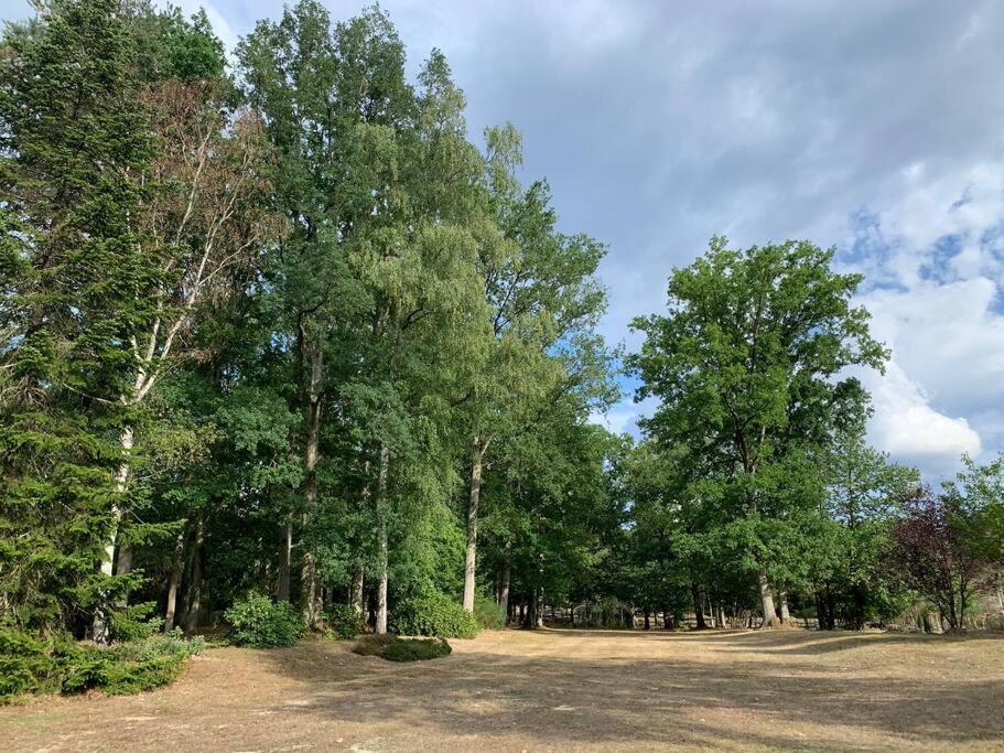 Maisonnette En Clairiere De Foret Gambais Extérieur photo